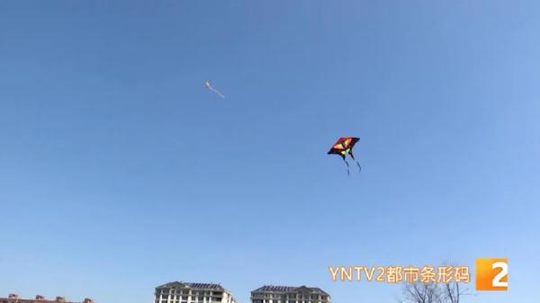 警惕这把“隐形刀”！风筝线威力有多大，这个实验告诉你
