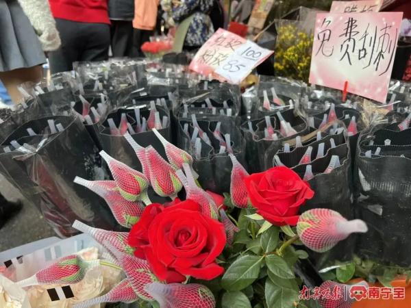“2·14”将近,玫瑰花价格如何?记者实探南宁七星路一巷花市 “2·14”将近,玫瑰花价格如何?记者实探南宁七星路一巷花市