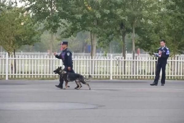 广西“追风”，功勋！