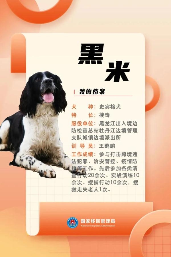 国家首批“功勋犬”，是它们！