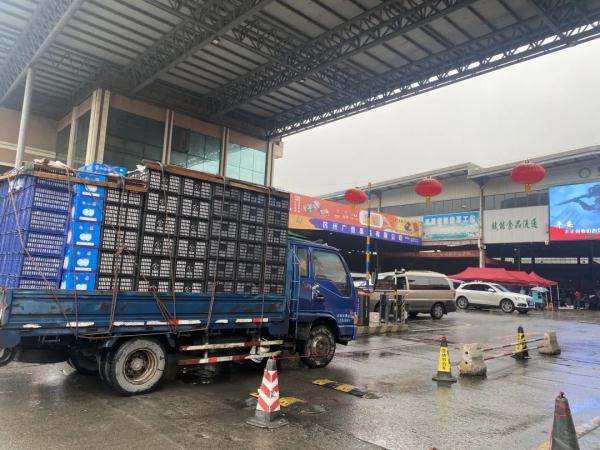 价格大跌，近乎腰斩！“生意还行，一天两三百箱”