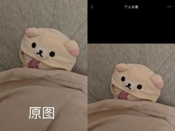 我不信微信头像还能褪色？热搜第一了…