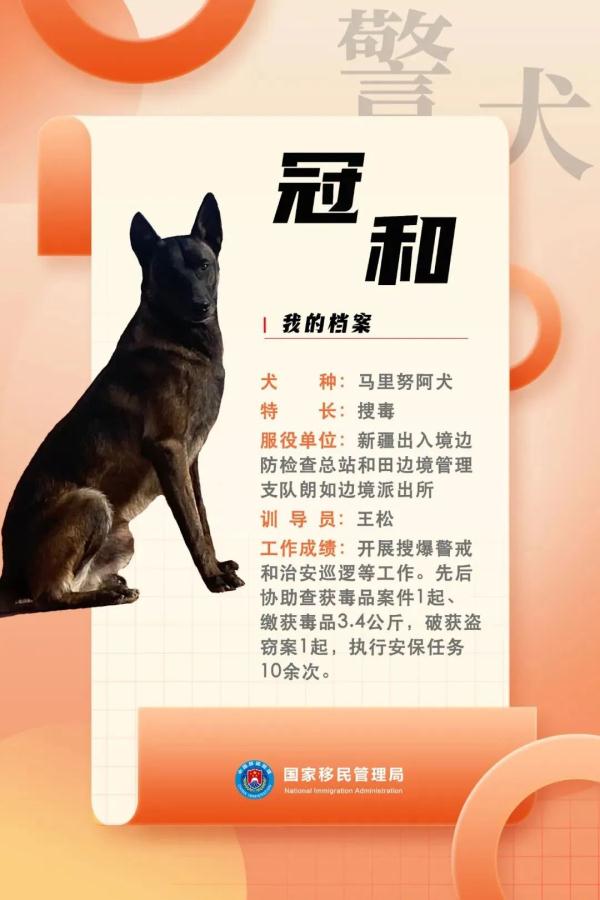 国家首批“功勋犬”，是它们！