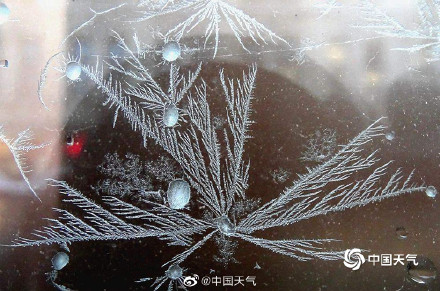 哈尔滨又现绝美冰窗花 哈尔滨又现绝美冰窗花