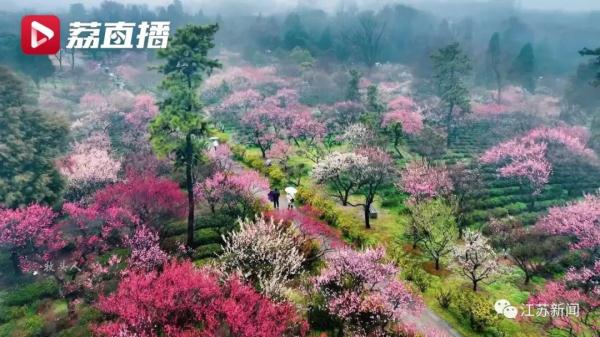 今日开幕！南京这个景区门票价格临时下调→