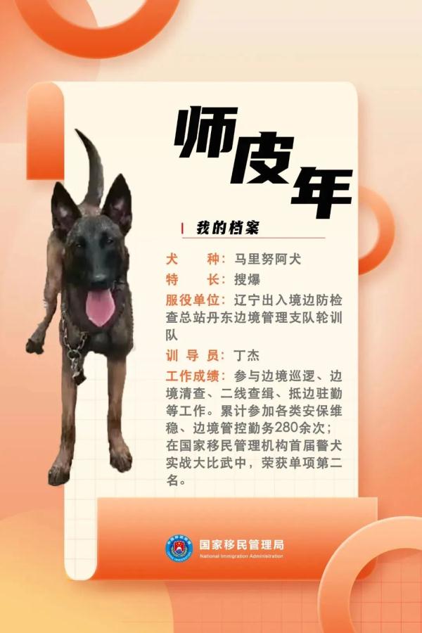 国家首批“功勋犬”，是它们！