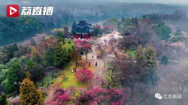 今日开幕！南京这个景区门票价格临时下调→