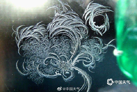 哈尔滨又现绝美冰窗花 哈尔滨又现绝美冰窗花