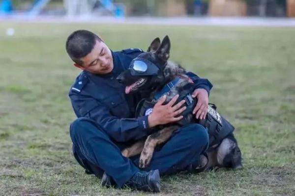 广西“追风”，功勋！