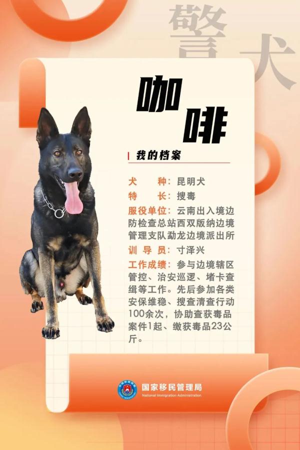 国家首批“功勋犬”，是它们！