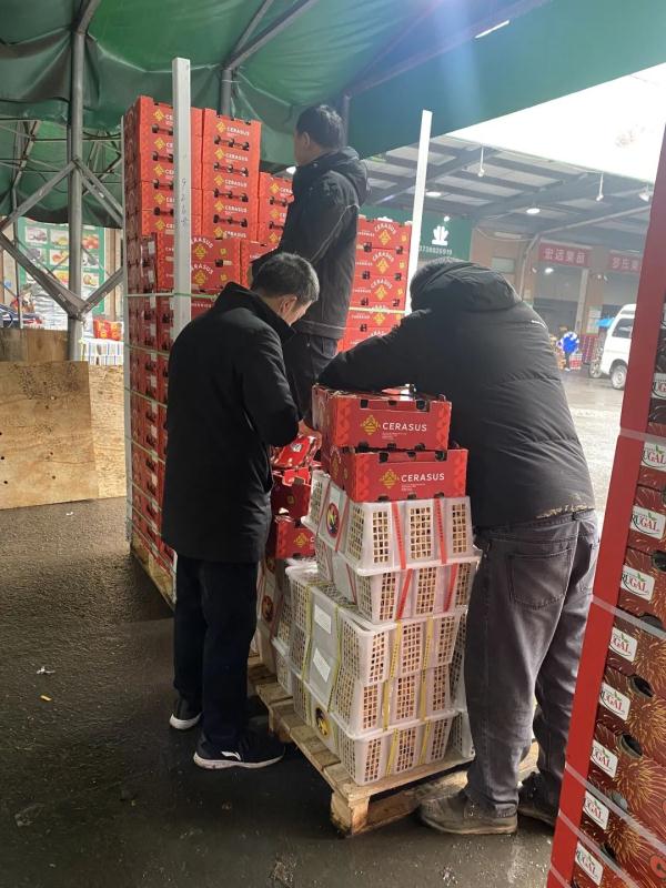 价格大跌，近乎腰斩！“生意还行，一天两三百箱”