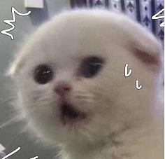 南方人最爱的马蹄竟不能生吃？小心感染寄生虫！