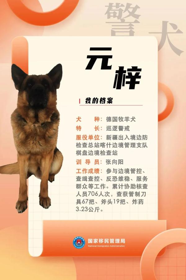 国家首批“功勋犬”，是它们！