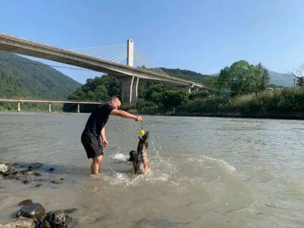 国家首批“功勋犬”，是它们！