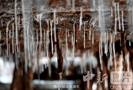 探访西藏芒康古盐田