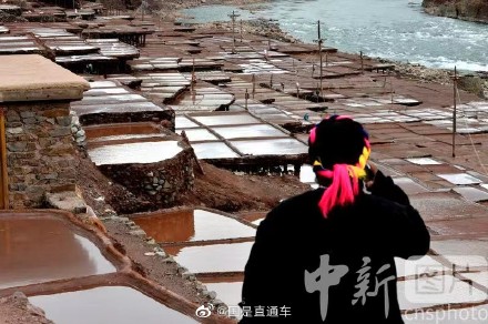 探访西藏芒康古盐田