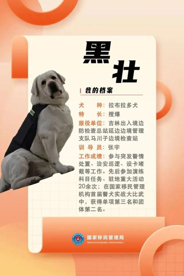 广西“追风”，功勋！