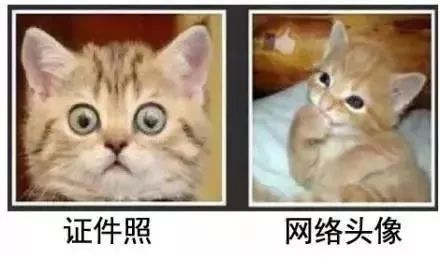 身份证照片可以这样拍了！网友：建议全国推广