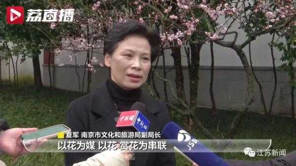 今日开幕！南京这个景区门票价格临时下调→