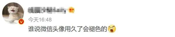 我不信微信头像还能褪色？热搜第一了…