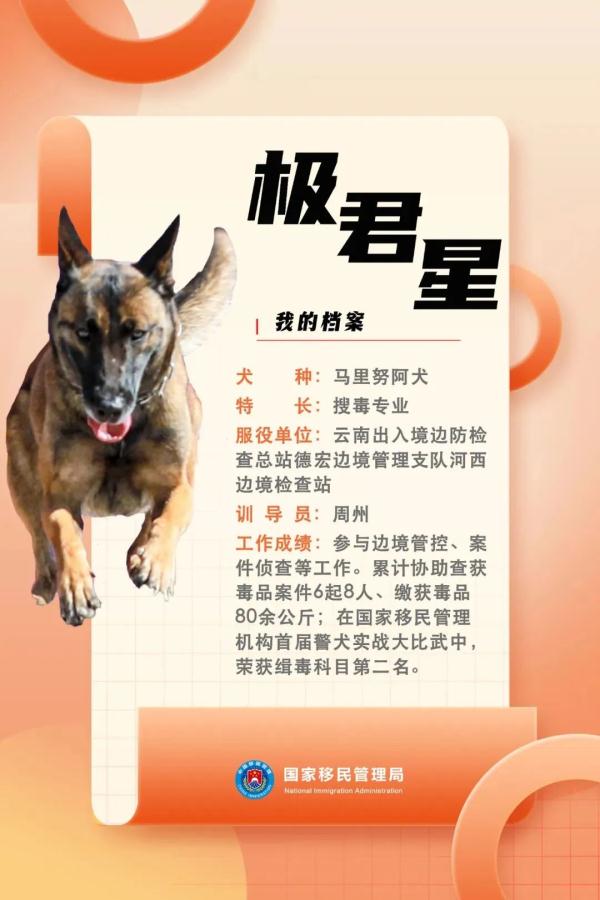 国家首批“功勋犬”，是它们！