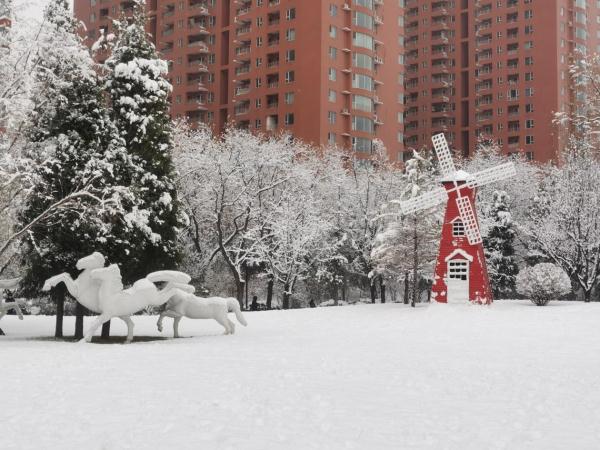 山西再迎春季大雪 &nbsp;雪满枝丫现别样美景