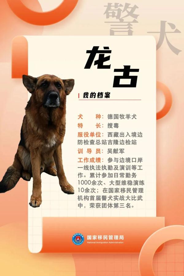 国家首批“功勋犬”，是它们！