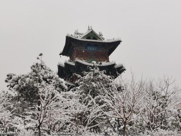 山西再迎春季大雪 &nbsp;雪满枝丫现别样美景