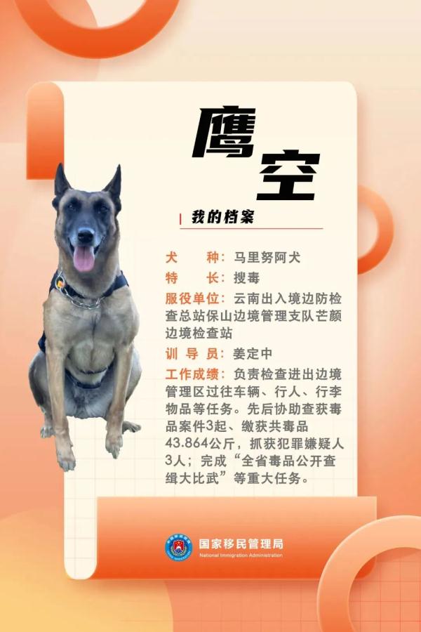 国家首批“功勋犬”，是它们！