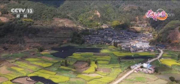 云南文山:油菜花开香万里 踏青赏花正当时 云南文山:油菜花开香万里 踏青赏花正当时
