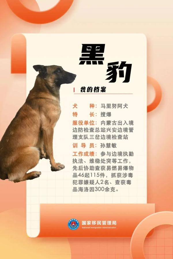 国家首批“功勋犬”，是它们！