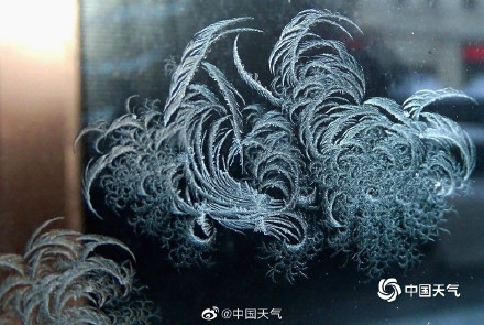 哈尔滨又现绝美冰窗花 哈尔滨又现绝美冰窗花