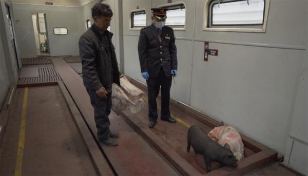 这列途径大凉山的“慢火车”焕新升级