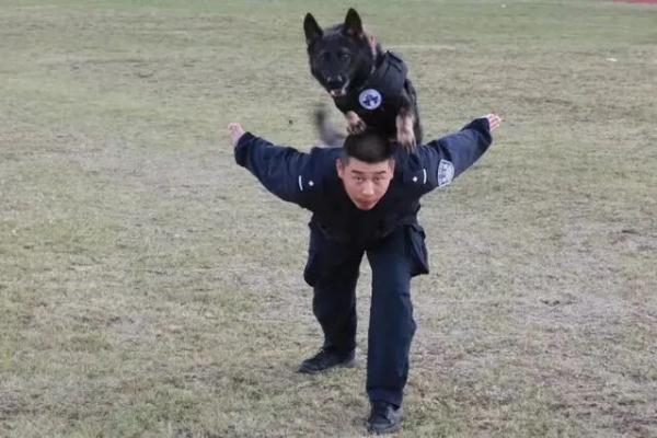 广西“追风”，功勋！