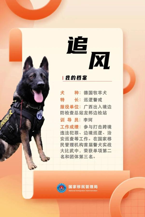 国家首批“功勋犬”，是它们！