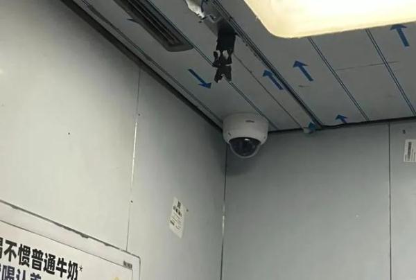 你家电动车上楼充电吗？阻车“神器”要来了！了解一下