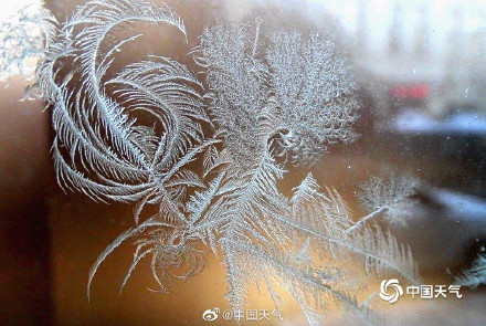 哈尔滨又现绝美冰窗花 哈尔滨又现绝美冰窗花