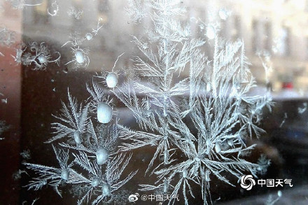哈尔滨又现绝美冰窗花 哈尔滨又现绝美冰窗花