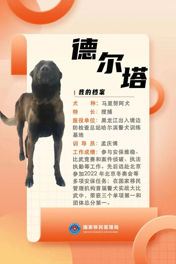 国家首批“功勋犬”，是它们！