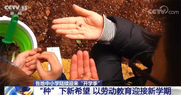 开学了！新学期迎来新希望、新体验