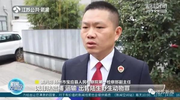 将农药拌入水草，团伙两个月毒杀181只野鸭，判了！