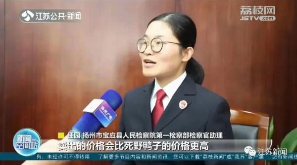 将农药拌入水草，团伙两个月毒杀181只野鸭，判了！