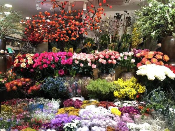 涨出史上最高价!最近,这种花一天一个价 涨出史上最高价!最近,这种花一天一个价