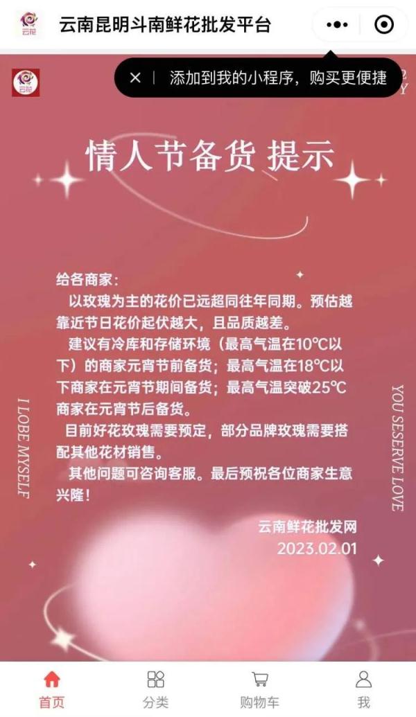 涨出史上最高价!最近,这种花一天一个价 涨出史上最高价!最近,这种花一天一个价