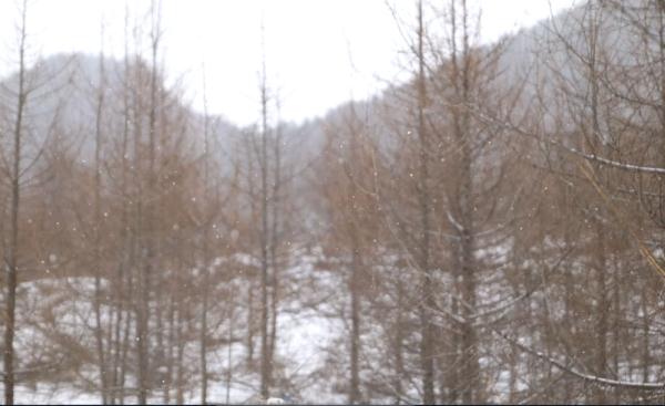 重庆巫溪：红池坝迎立春后首场降雪