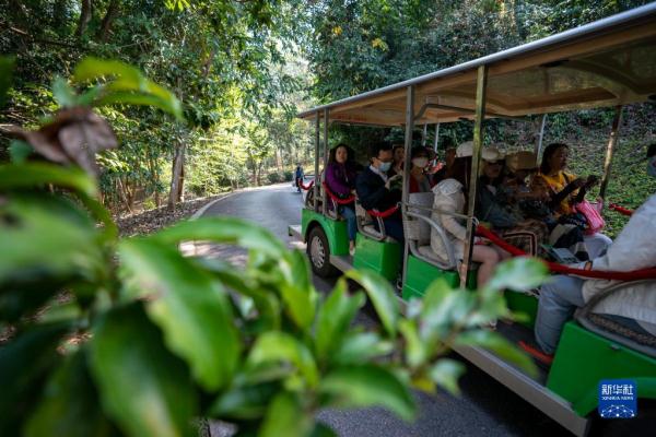 西双版纳旅游市场持续火热