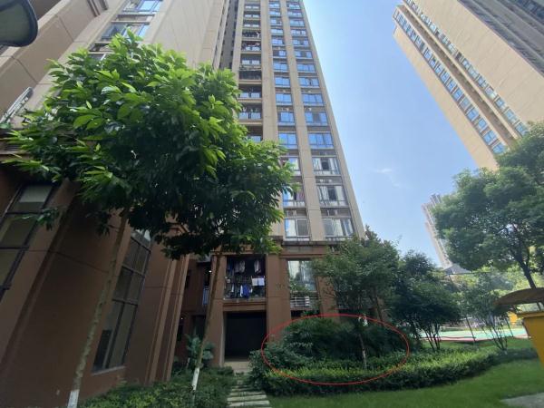 重庆姐弟坠亡案杀子父亲连写三封信求原谅 前妻：目的直白