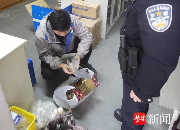 灰喜鹊雨天受伤 市民报警救助