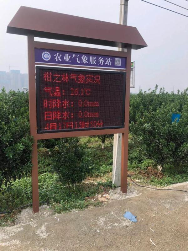 被《狂飙》“安利”的新会陈皮，与气象有啥关系？