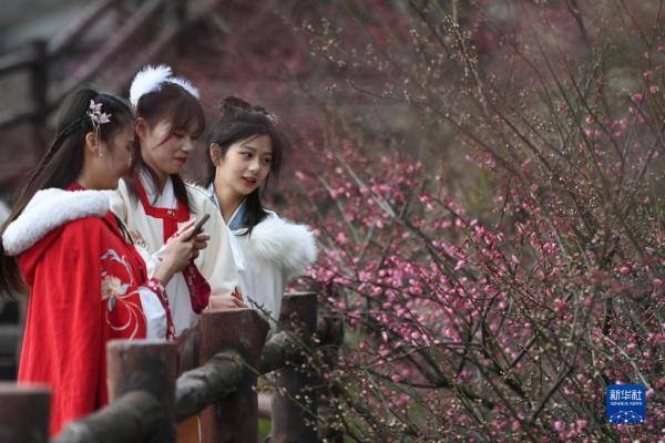 浙江湖州:梅花枝头俏 浙江湖州:梅花枝头俏